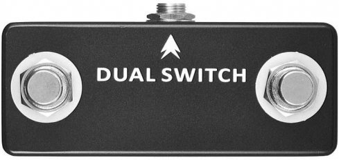 Dual Switch