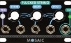 Plucked String (Black Panel)